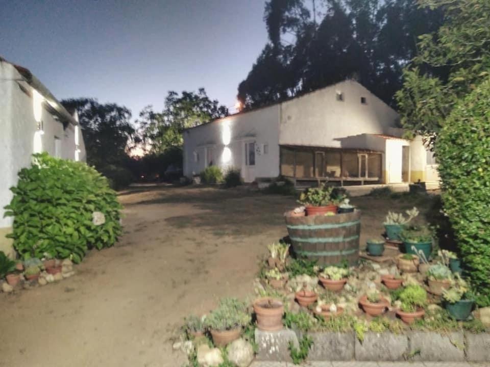 Willa Quinta Da Mesa Macinhata do Vouga Zewnętrze zdjęcie